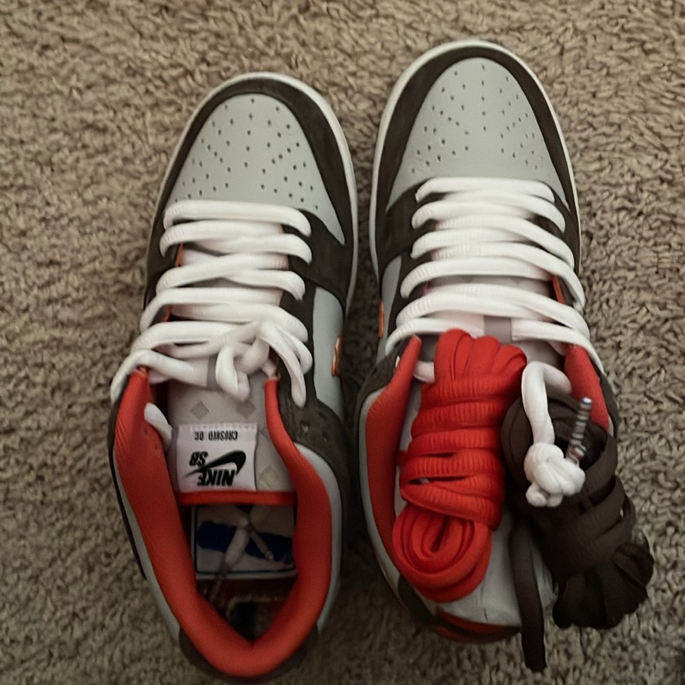 Nike dunk pro os (crushed dc)